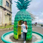 pineapple